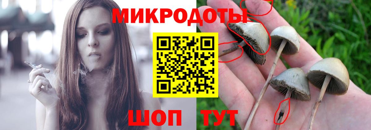 Мариинск  Псилоцибиновые грибы прущие грибы  Вход с VPN 